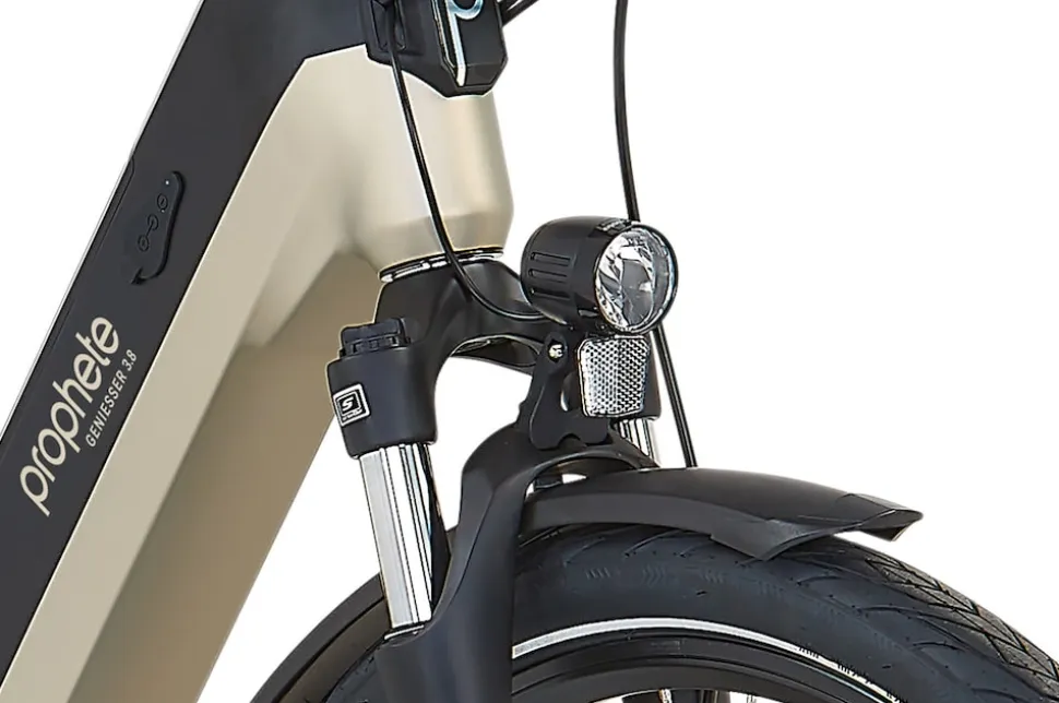 Prophete E-Bike Geniesser 3.8 RH48