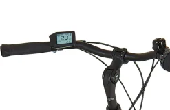 Prophete E-Bike Geniesser 3.8 RH48