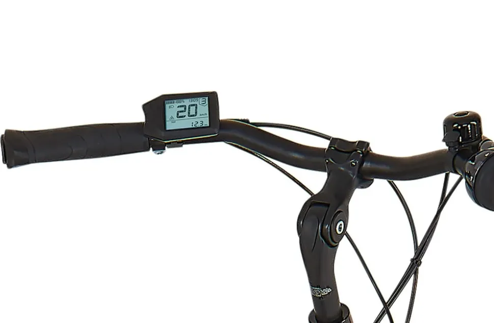 Prophete E-Bike Geniesser 3.8 RH48