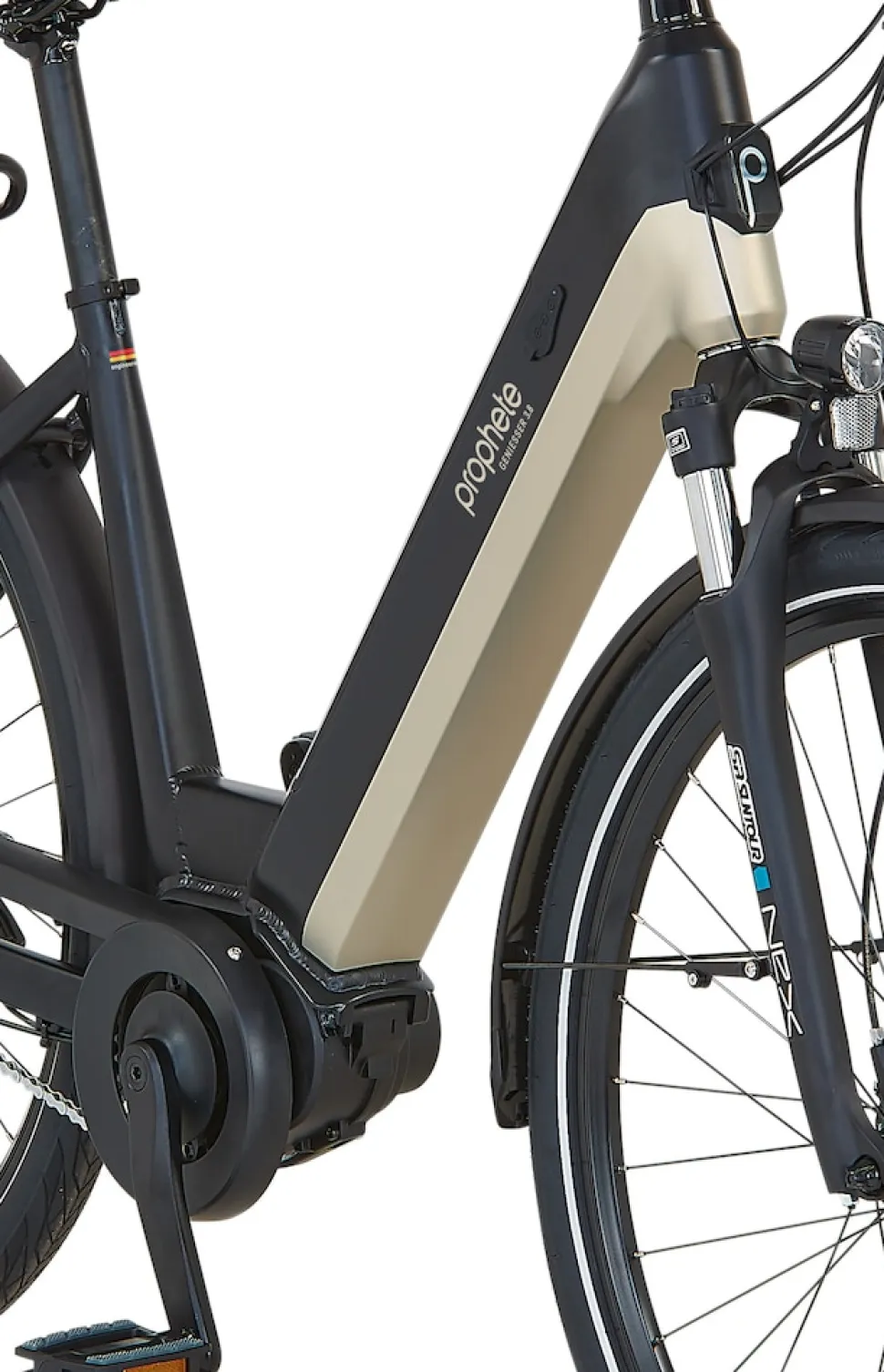 Prophete E-Bike Geniesser 3.8 RH48