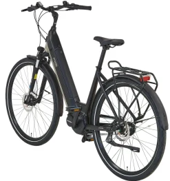 Prophete E-Bike Geniesser 3.8 RH48