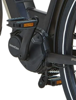 Prophete E-Bike Geniesser 3.8 RH48