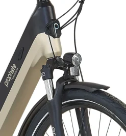 Prophete E-Bike Geniesser 3.8 RH48