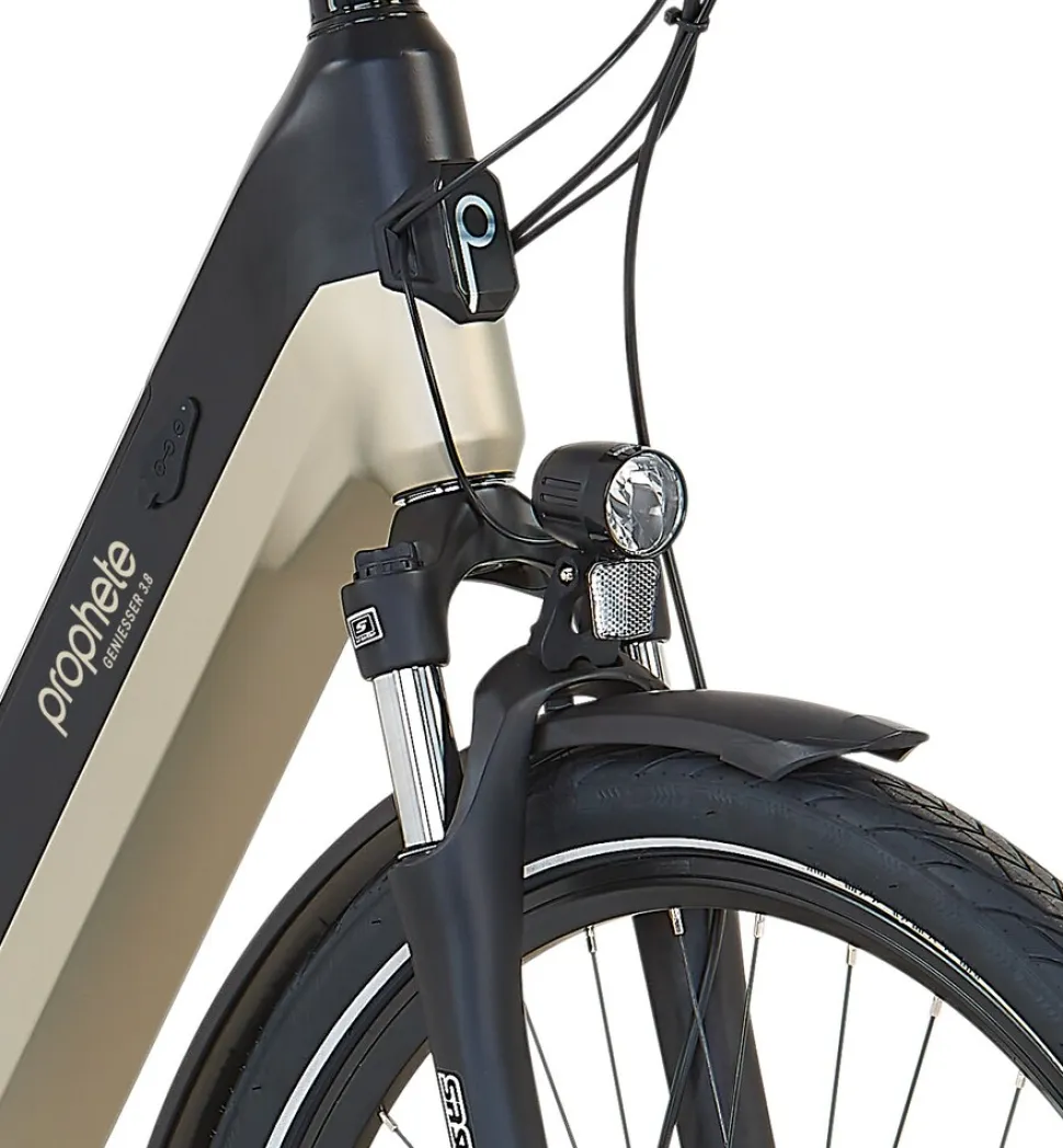 Prophete E-Bike Geniesser 3.8 RH48