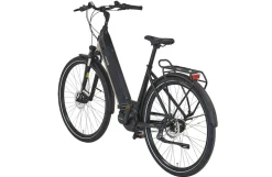 Prophete E-Bike Geniesser 3.8 RH48