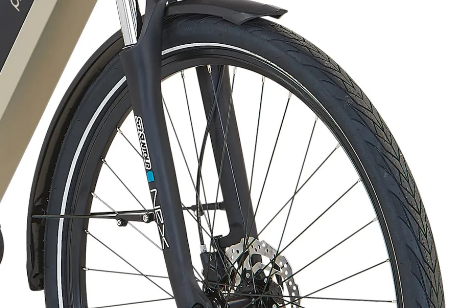 Prophete E-Bike Geniesser 3.8 RH48