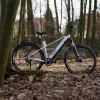 Prophete E-Bike Stack 1.8 RH52
