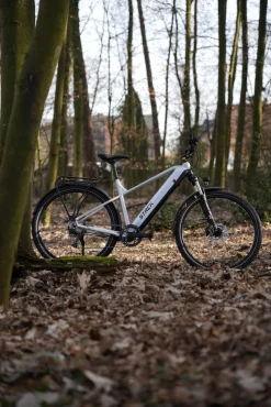 Prophete E-Bike Stack 1.8 RH52
