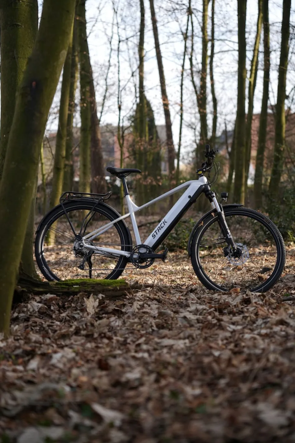 Prophete E-Bike Stack 1.8 RH52