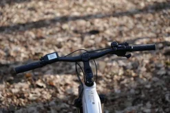 Prophete E-Bike Stack 1.8 RH52