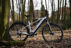 Prophete E-Bike Stack 1.8 RH52