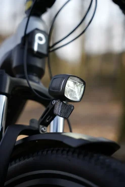 Prophete E-Bike Stack 1.8 RH52