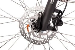 Quantum Sport Lady 10 Gang Bafang Mittelmotor Scheibenbremsen