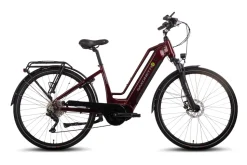 Quantum Sport Lady 10 Gang Bafang Mittelmotor Scheibenbremsen