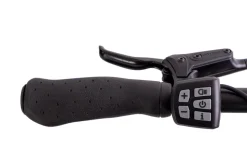 Quantum Sport Lady 10 Gang Bafang Mittelmotor Scheibenbremsen