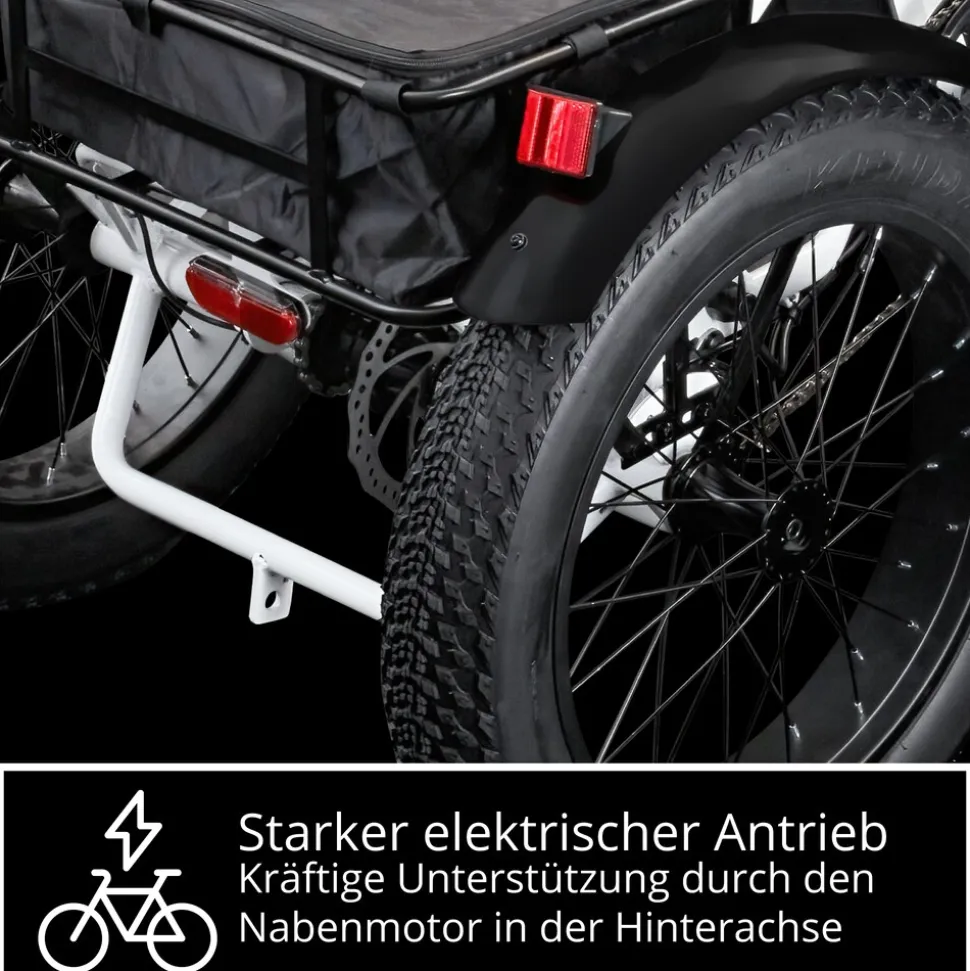 Remington R100 E Bike Elektro Dreirad 20 Zoll Elektrodreirad mit 2 Akkus bis 120 km Pedelec City mit tiefem Einstieg klappbar