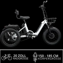 Remington R100 E Bike Elektro Dreirad 20 Zoll Elektrodreirad mit 2 Akkus bis 120 km Pedelec City mit tiefem Einstieg klappbar
