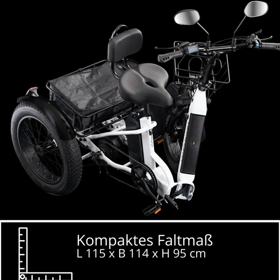 Remington R100 E Bike Elektro Dreirad 20 Zoll Elektrodreirad mit 2 Akkus bis 120 km Pedelec City mit tiefem Einstieg klappbar