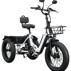 Remington R100 E Bike Elektro Dreirad 20 Zoll Elektrodreirad mit 2 Akkus bis 120 km Pedelec City mit tiefem Einstieg klappbar
