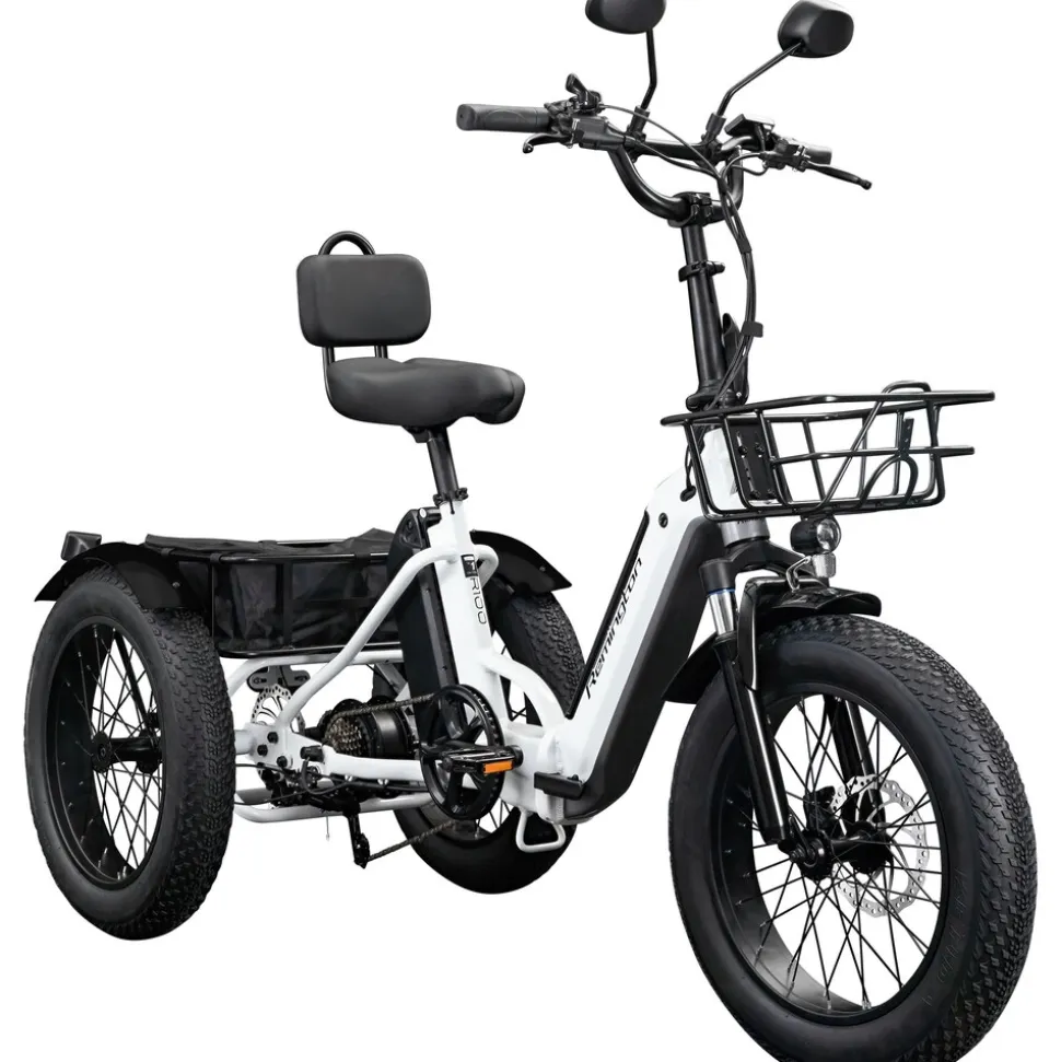 Remington R100 E Bike Elektro Dreirad 20 Zoll Elektrodreirad mit 2 Akkus bis 120 km Pedelec City mit tiefem Einstieg klappbar