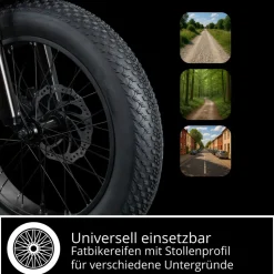 Remington R100 E Bike Elektro Dreirad 20 Zoll Elektrodreirad mit 2 Akkus bis 120 km Pedelec City mit tiefem Einstieg klappbar