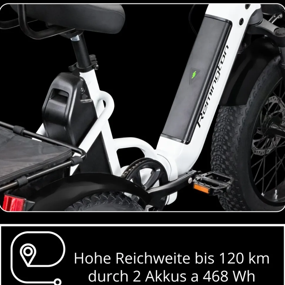 Remington R100 E Bike Elektro Dreirad 20 Zoll Elektrodreirad mit 2 Akkus bis 120 km Pedelec City mit tiefem Einstieg klappbar