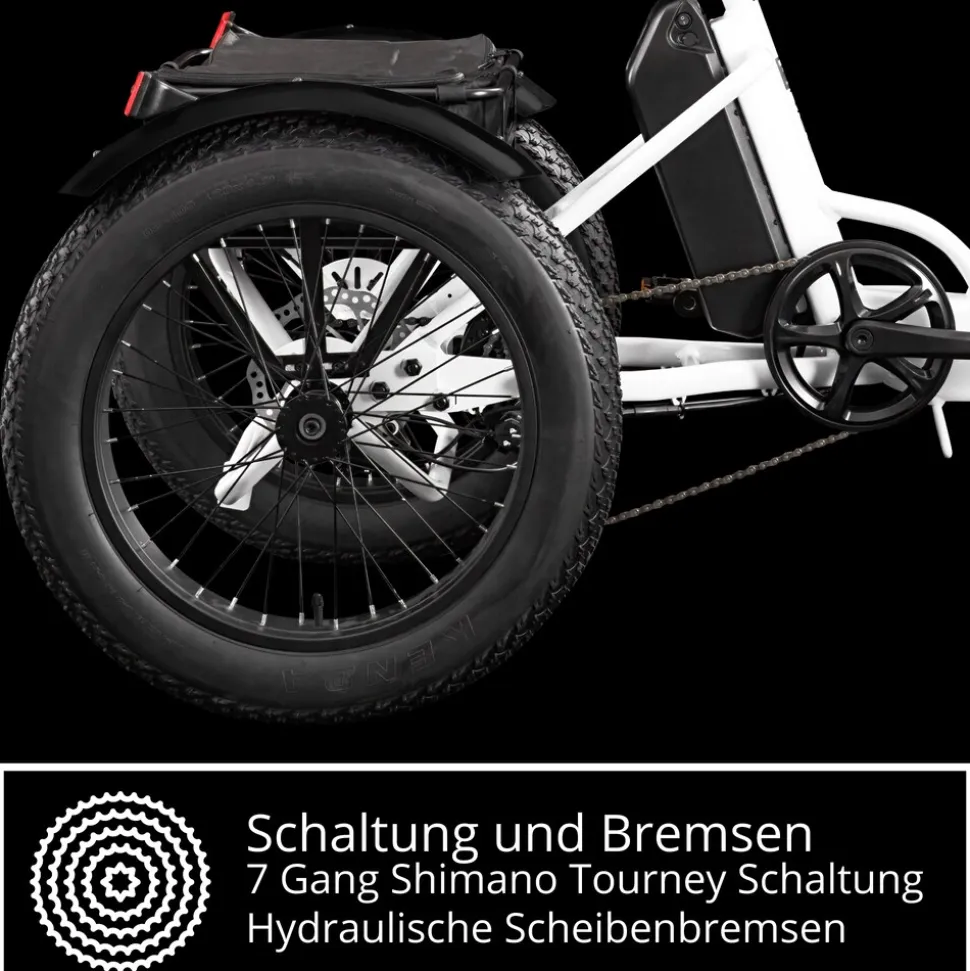 Remington R100 E Bike Elektro Dreirad 20 Zoll Elektrodreirad mit 2 Akkus bis 120 km Pedelec City mit tiefem Einstieg klappbar