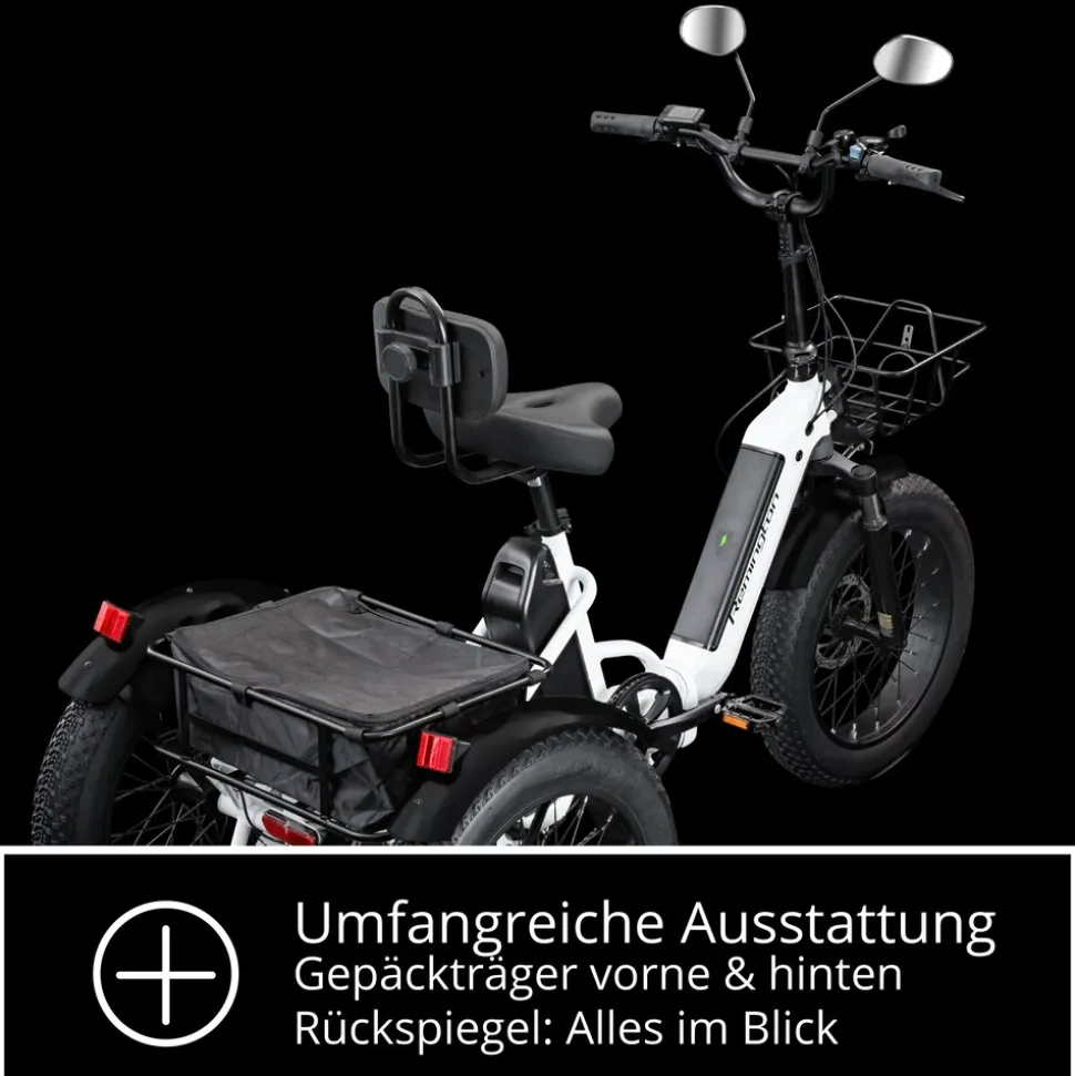 Remington R100 E Bike Elektro Dreirad 20 Zoll Elektrodreirad mit 2 Akkus bis 120 km Pedelec City mit tiefem Einstieg klappbar