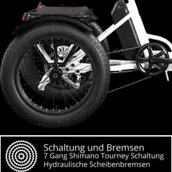 Remington R100 E Bike Elektro Dreirad 20 Zoll Elektrodreirad mit 2 Akkus bis 120 km Pedelec City mit tiefem Einstieg klappbar