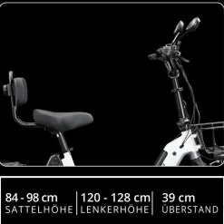 Remington R100 E Bike Elektro Dreirad 20 Zoll Elektrodreirad mit 2 Akkus bis 120 km Pedelec City mit tiefem Einstieg klappbar
