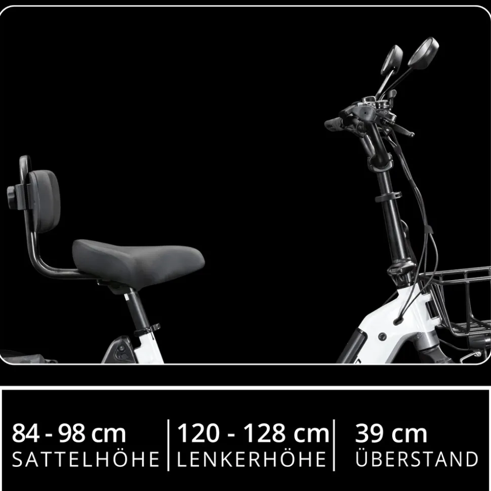 Remington R100 E Bike Elektro Dreirad 20 Zoll Elektrodreirad mit 2 Akkus bis 120 km Pedelec City mit tiefem Einstieg klappbar