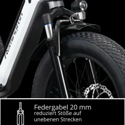 Remington R100 E Bike Elektro Dreirad 20 Zoll Elektrodreirad mit 2 Akkus bis 120 km Pedelec City mit tiefem Einstieg klappbar