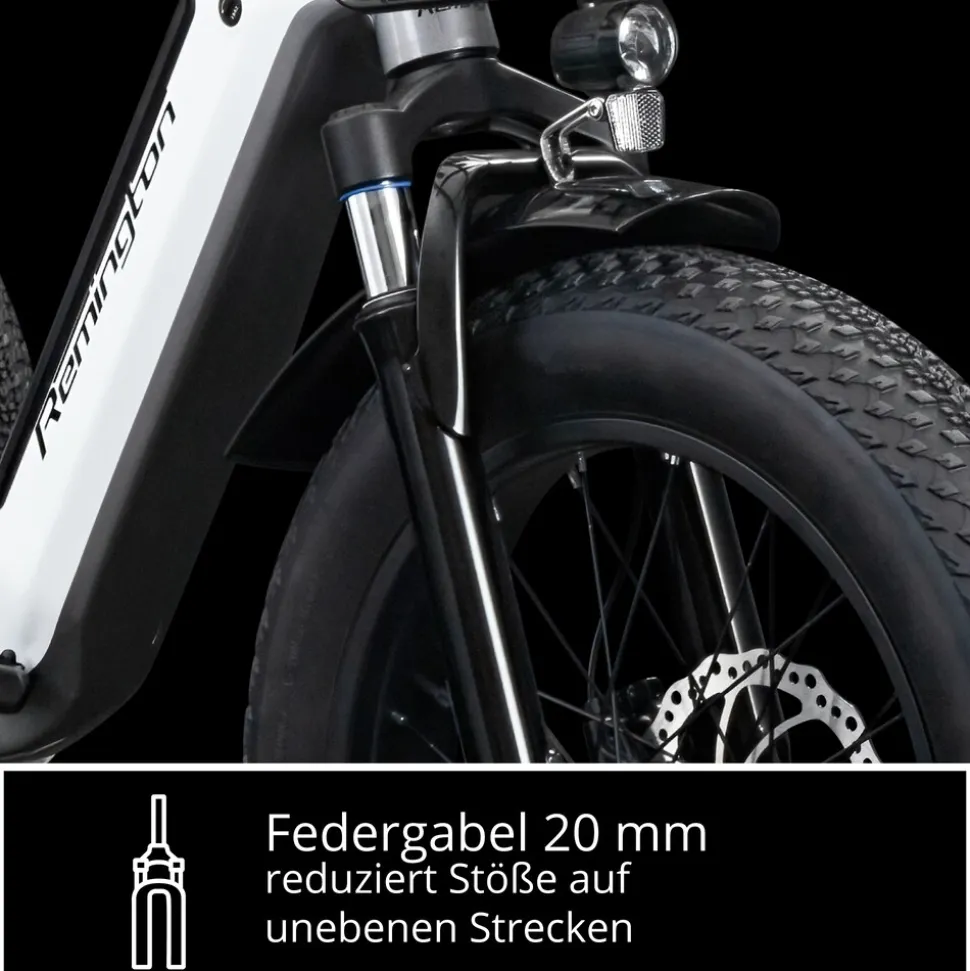 Remington R100 E Bike Elektro Dreirad 20 Zoll Elektrodreirad mit 2 Akkus bis 120 km Pedelec City mit tiefem Einstieg klappbar
