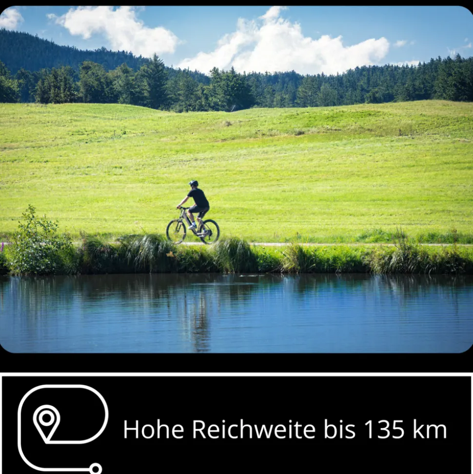 Remington XR01 E Bike Mountainbike 29 Zoll Pedelec 10 Gänge 550 Wh Akku Fahrrad Hardtail MTB