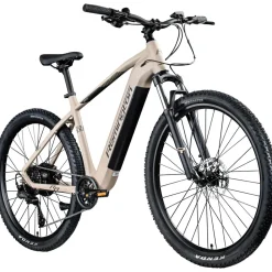 Remington XR01 E Bike Mountainbike 29 Zoll Pedelec 10 Gänge 550 Wh Akku Fahrrad Hardtail MTB