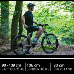 Remington XR01 E Bike Mountainbike 29 Zoll Pedelec 10 Gänge 550 Wh Akku Fahrrad Hardtail MTB