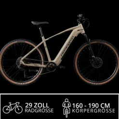 Remington XR01 E Bike Mountainbike 29 Zoll Pedelec 10 Gänge 550 Wh Akku Fahrrad Hardtail MTB