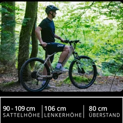 Remington XR01 E Bike Mountainbike 29 Zoll Pedelec 10 Gänge 550 Wh Akku Fahrrad Hardtail MTB