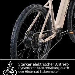 Remington XR01 E Bike Mountainbike 29 Zoll Pedelec 10 Gänge 550 Wh Akku Fahrrad Hardtail MTB