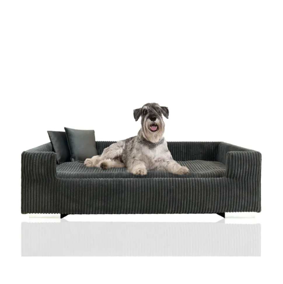 Rohrschneider Hundesofa gepolstert Cord breit beige