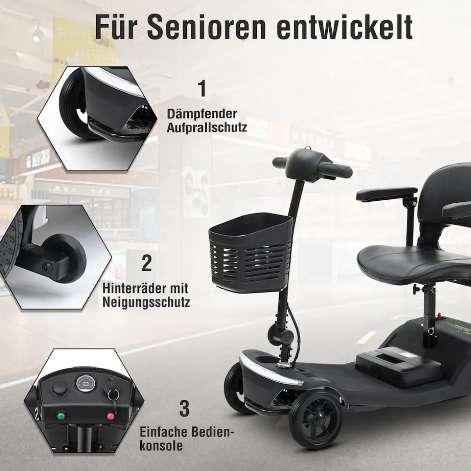 SachsenRAD BestAGE Seniorenmobil Royal
