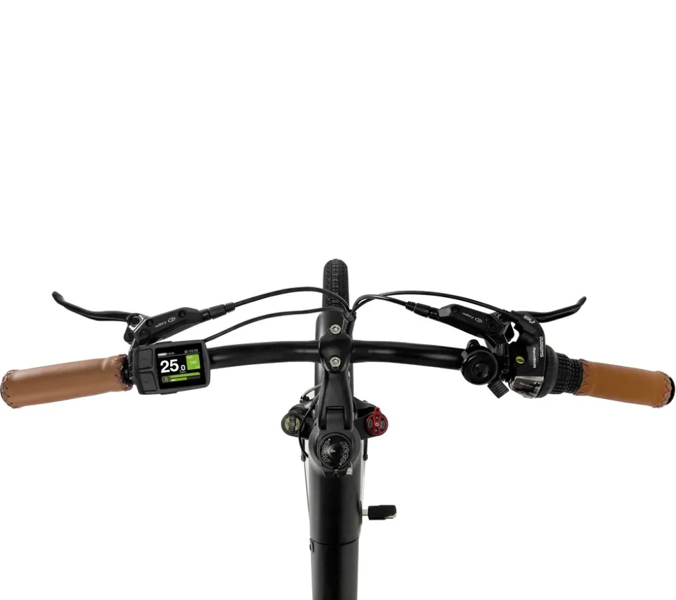 SachsenRAD E-SUV CityBike C5R Centro