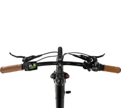 SachsenRAD E-SUV CityBike C5R Centro
