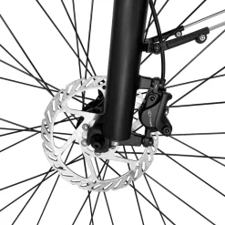 SachsenRAD E-SUV CityBike C5R Centro