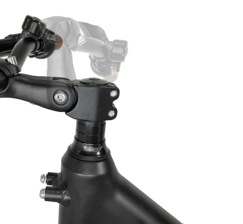 SachsenRAD E-SUV CityBike C5R Centro