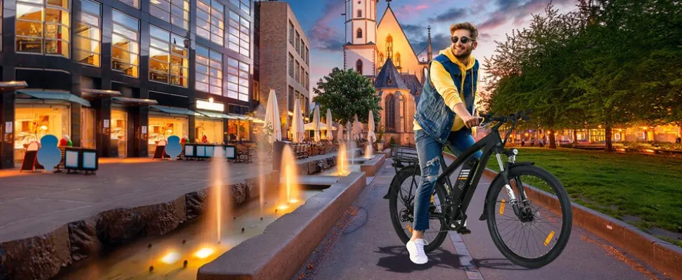 SachsenRAD Gepäckträger-Korb für C5 C5R S8 C3T