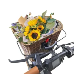 SachsenRAD Lenkerkorb mit Tragegriff, genialeSchnell-Klick-Halterung, abnehmbar