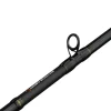 Savage Gear Alpha SG2 Swimbait BC 2,28m 70-150g 2p Baitcastrute