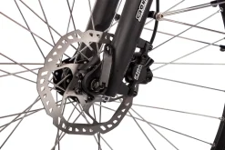 SAXONETTE Deluxe Sport Lady Gang Trekking E-Bike Scheibenbremsen