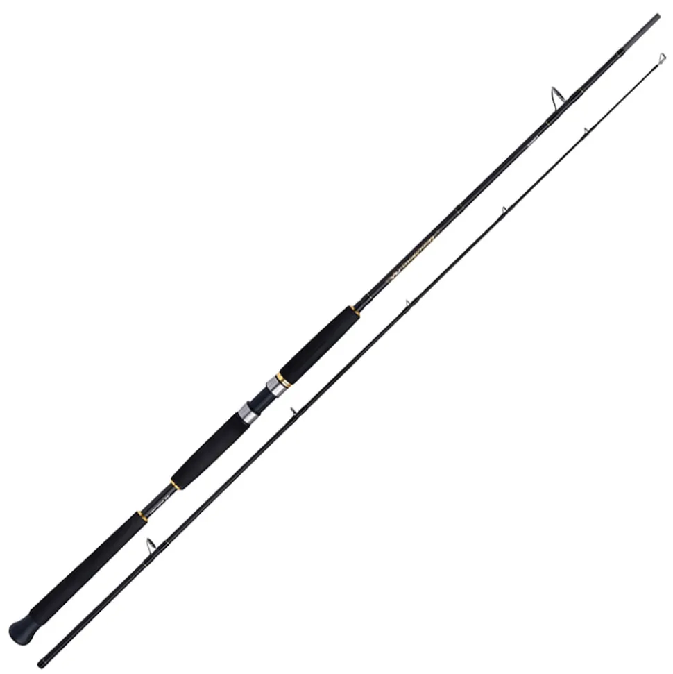 Shimano Beastmaster AX Pilk 2,40m 150-300g 2pc Pilkrute